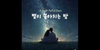 별이 쏟아지는 밤